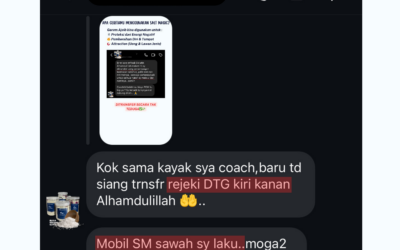 Menjadi lebih ajaib dengan Salt Magic